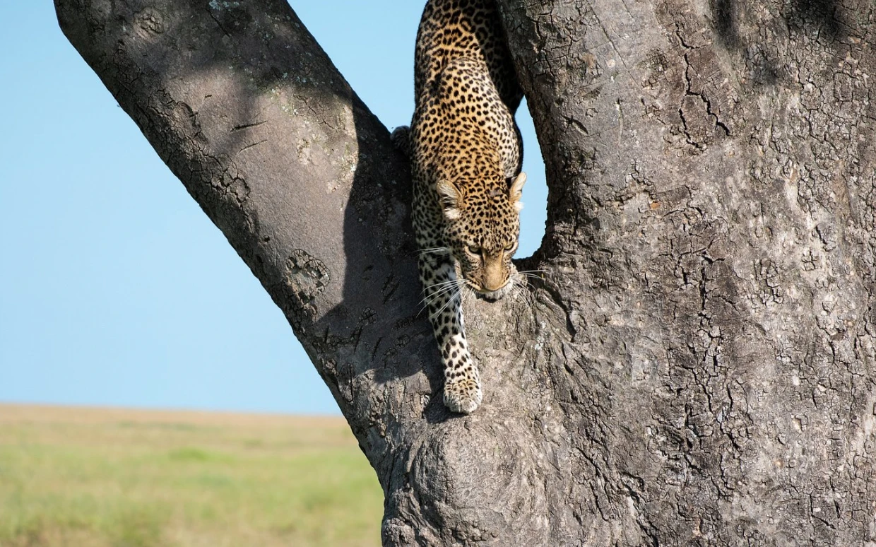 Serengeti National Park
