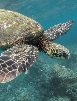 Seychelles Destinations