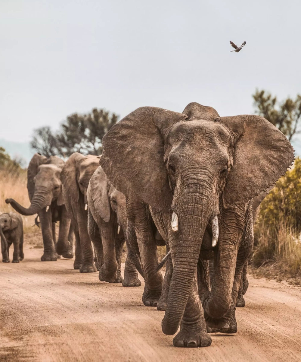 south-africa-destinations-4