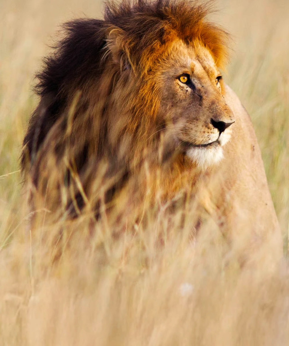 south-africa-destinations-6