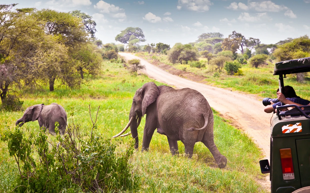 Tanzania Flying Safari