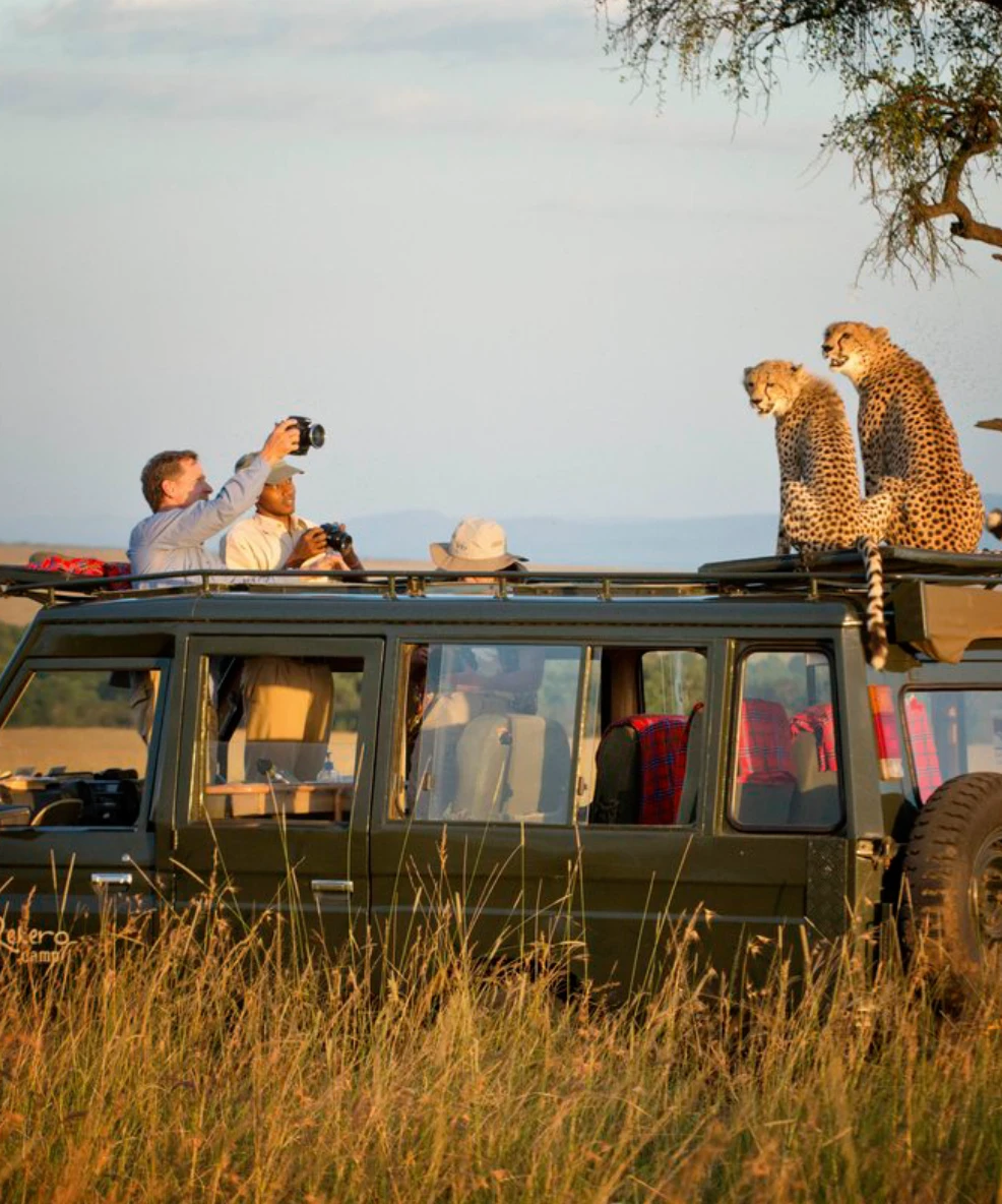 Tanzania Game Drive