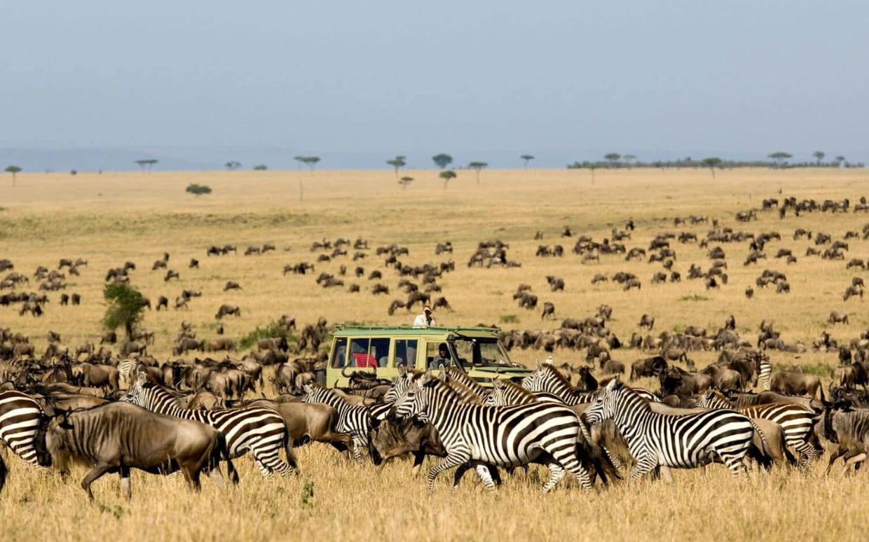Tanzania Game Drive