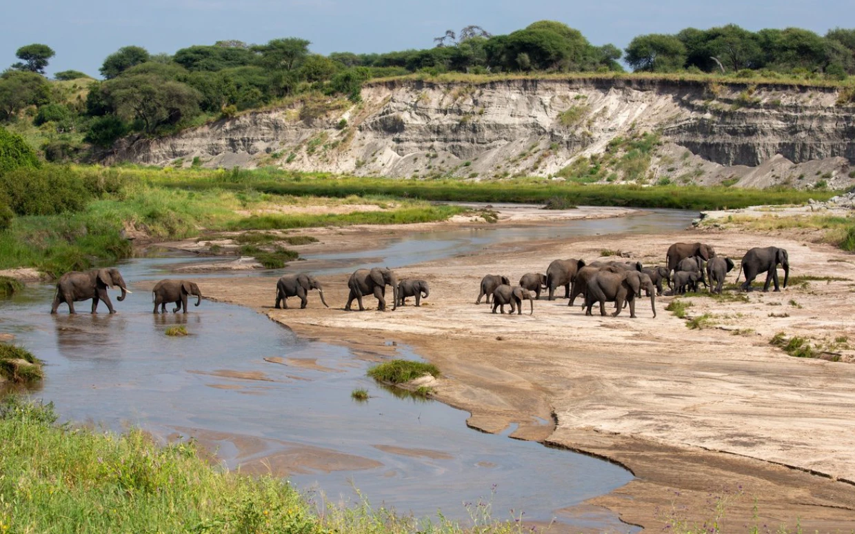 Tanzania Photographic Safari