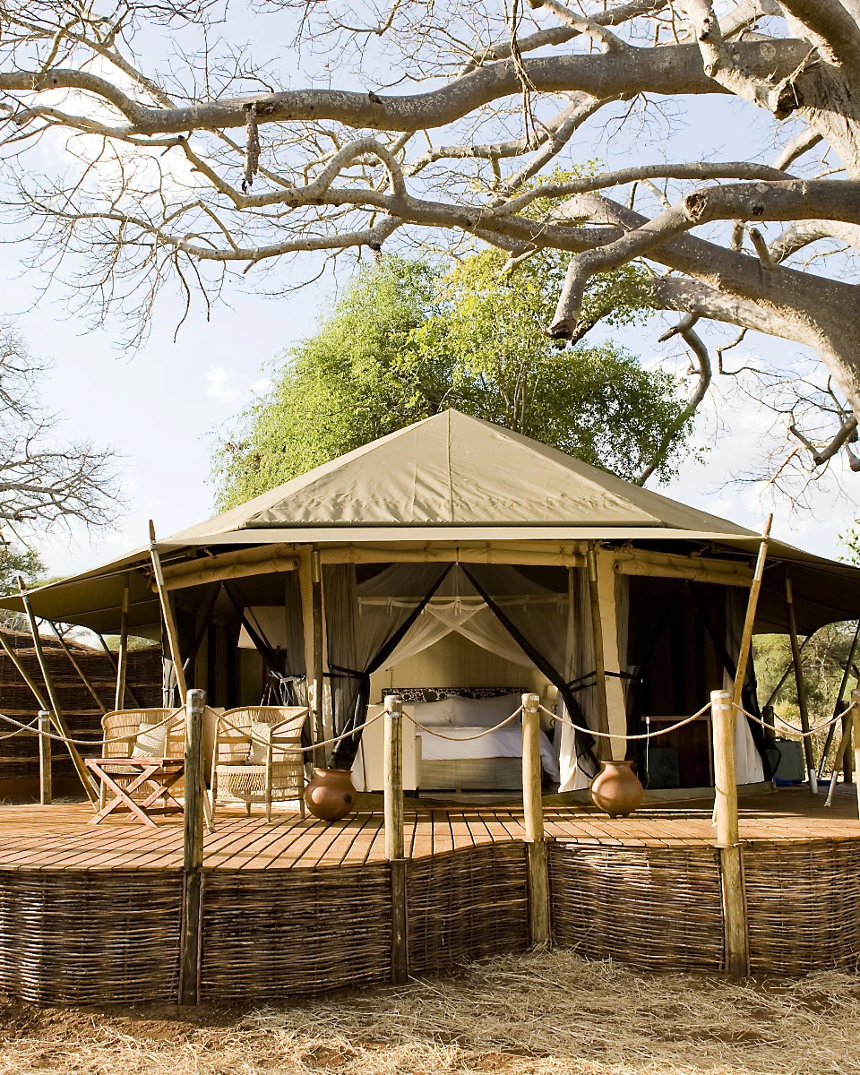 Tanzania Safari