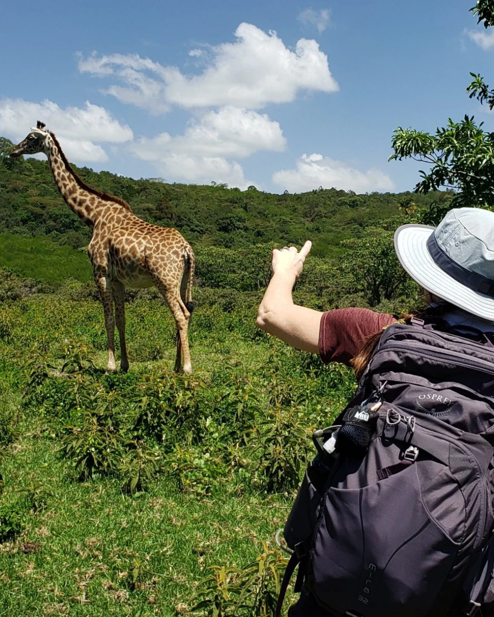 Tanzania Safari