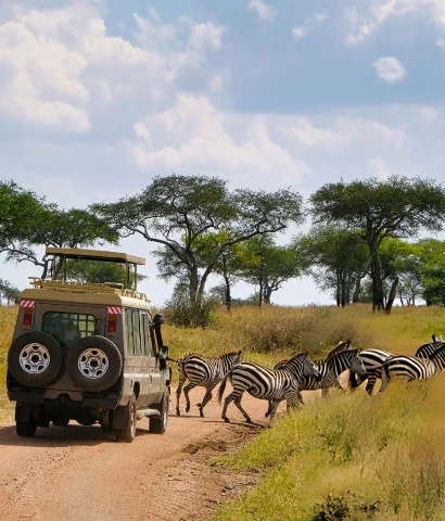 Tanzania Safari Cost