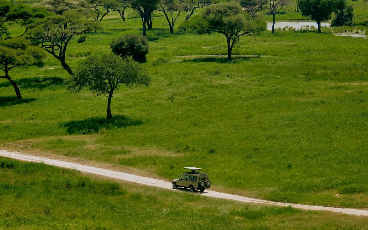 Tanzania Solo Safari