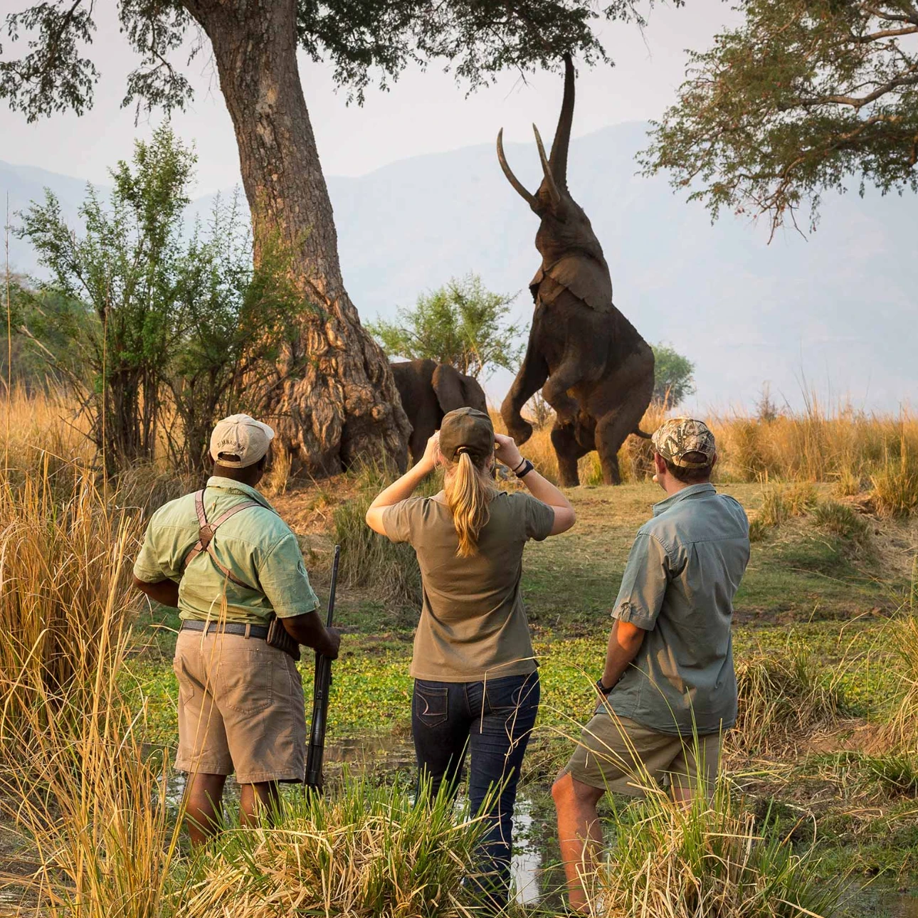 Tanzania Walking Safari