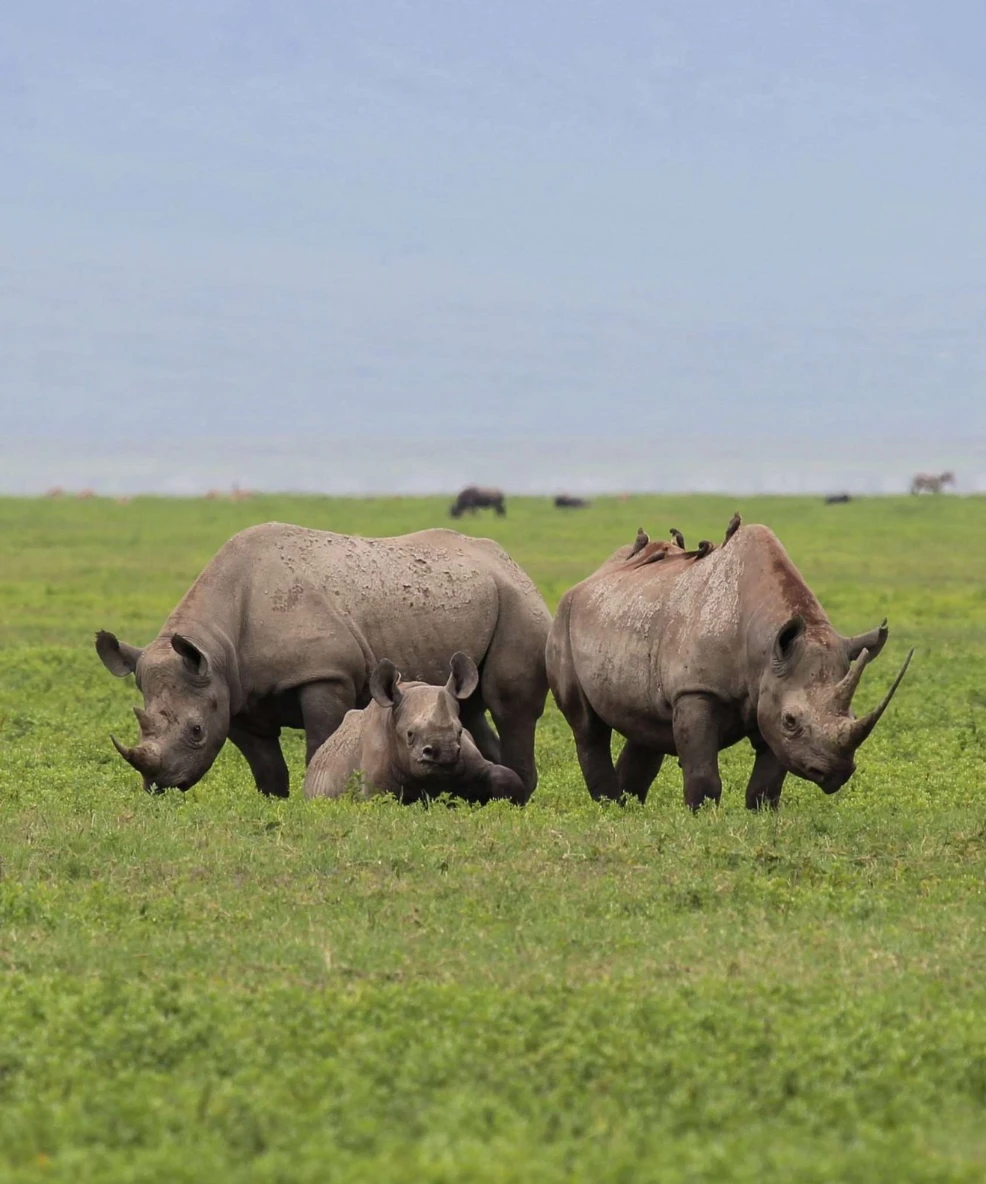 Tanzania Walking Safari