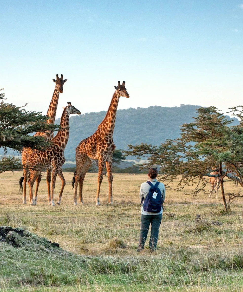 Tanzania Walking Safari
