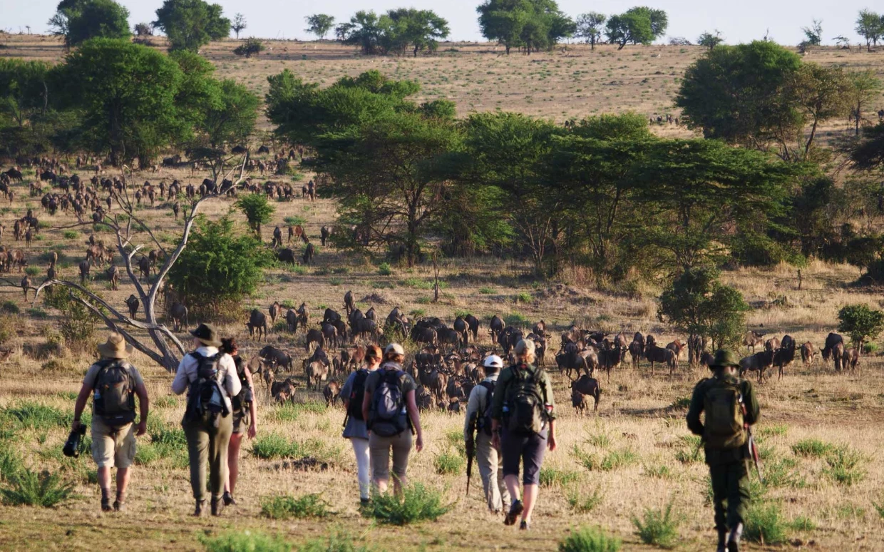 Tanzania Walking Safari