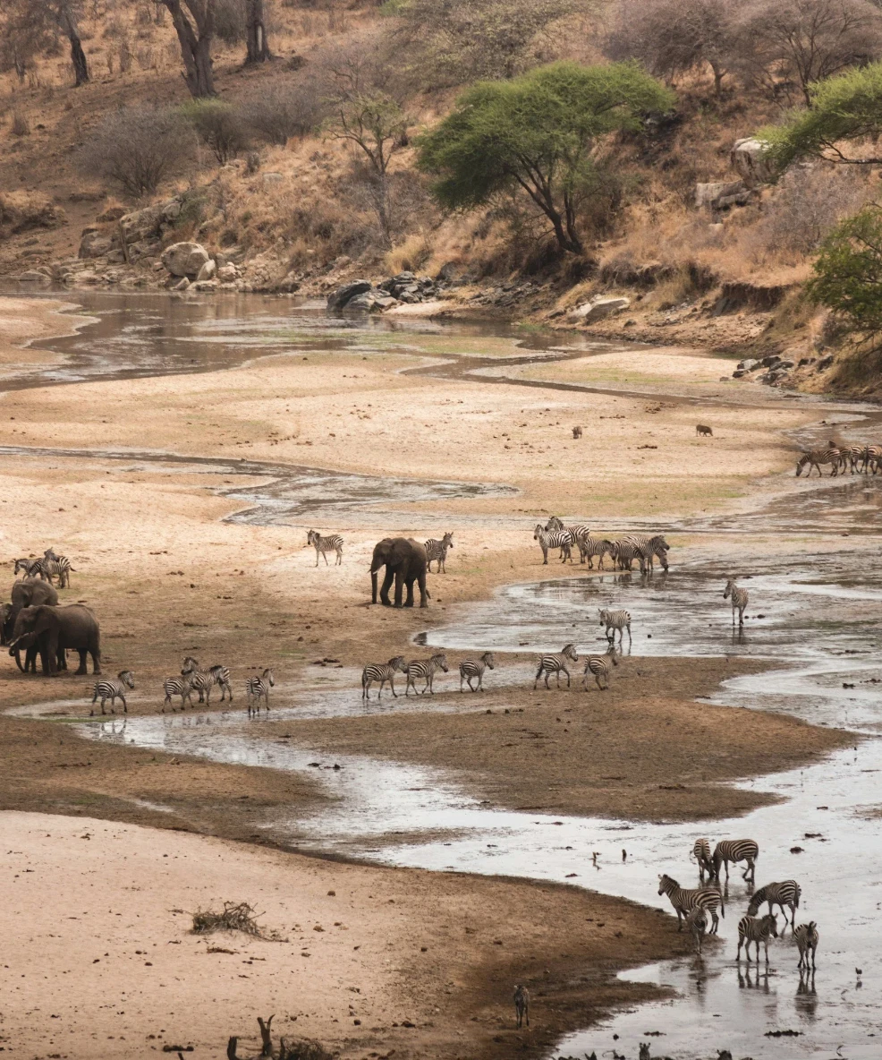 Tarangire National Park