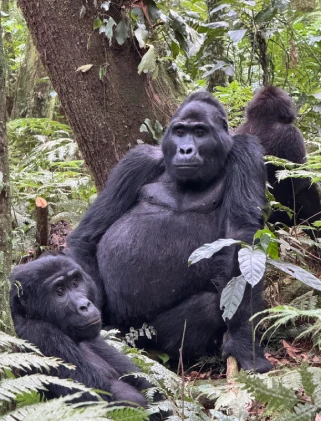 Uganda Wildlife Attractions