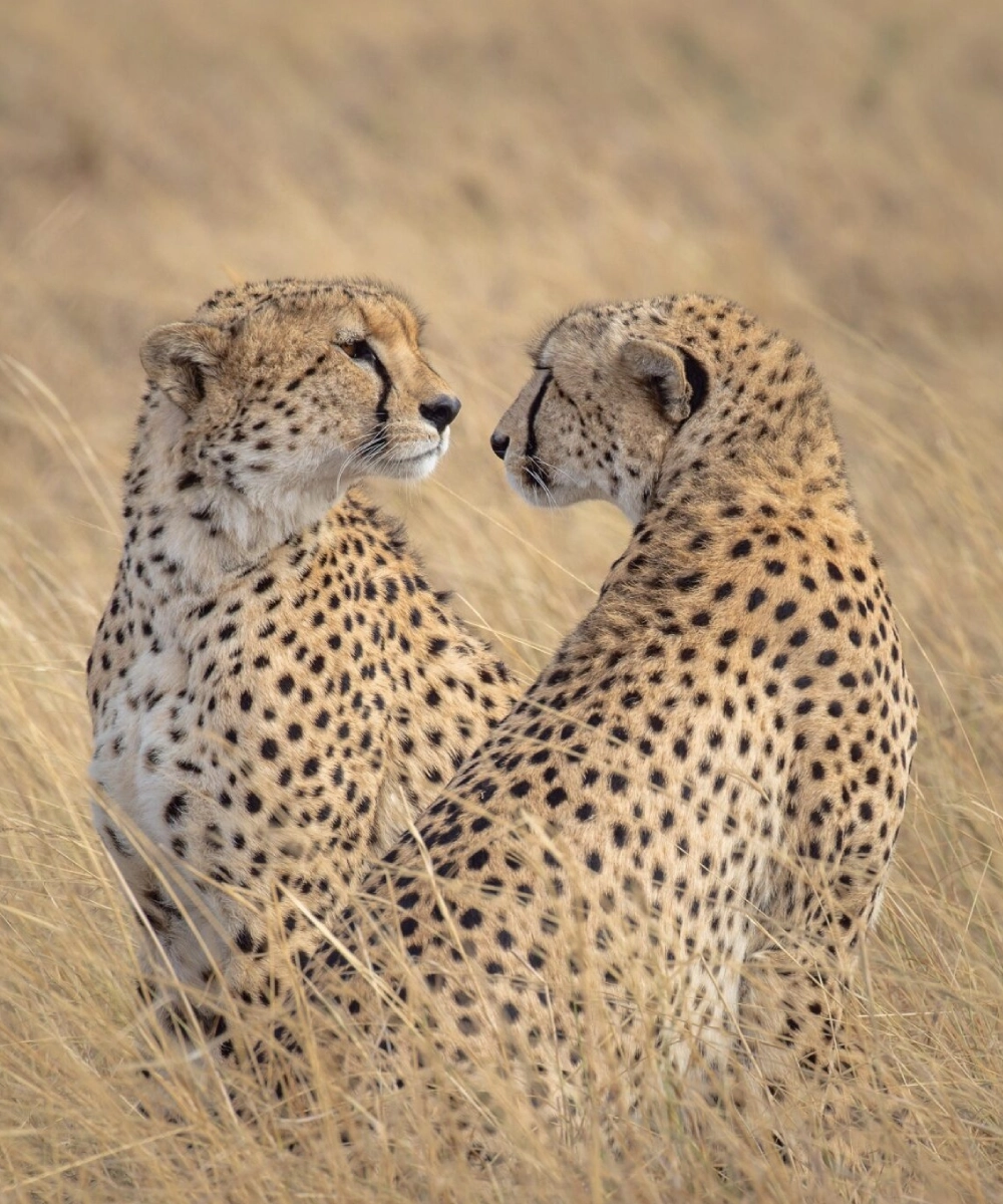 zambia-destinations-5