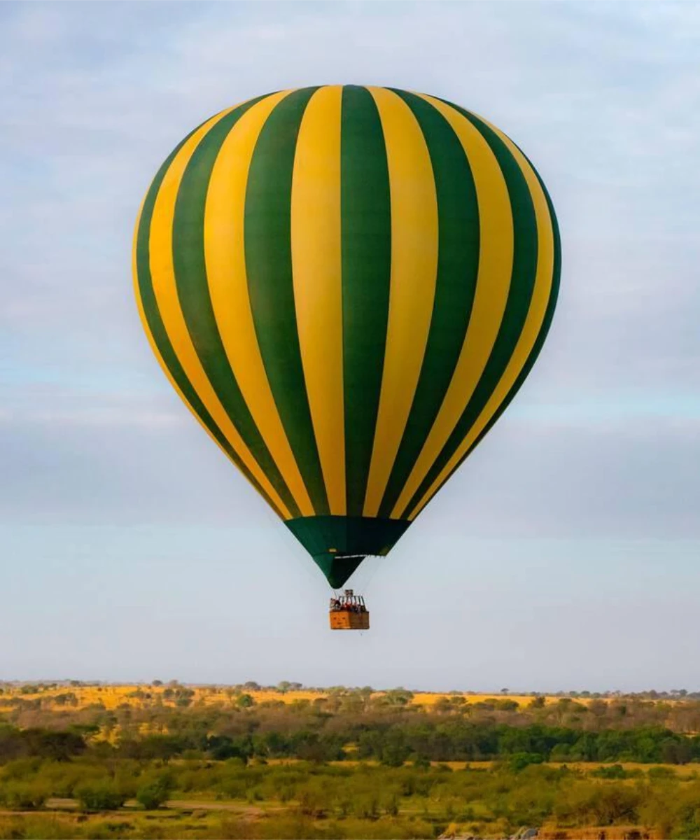 Balloon Safari