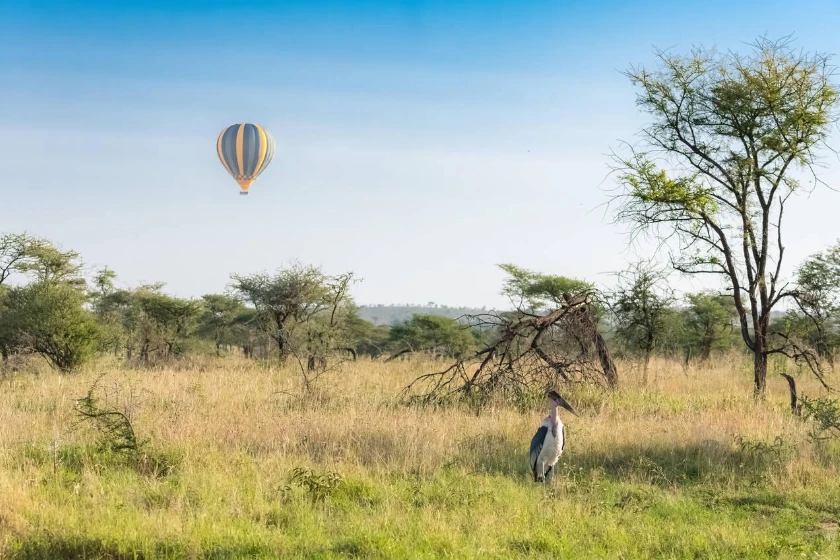 Serengeti Attractions