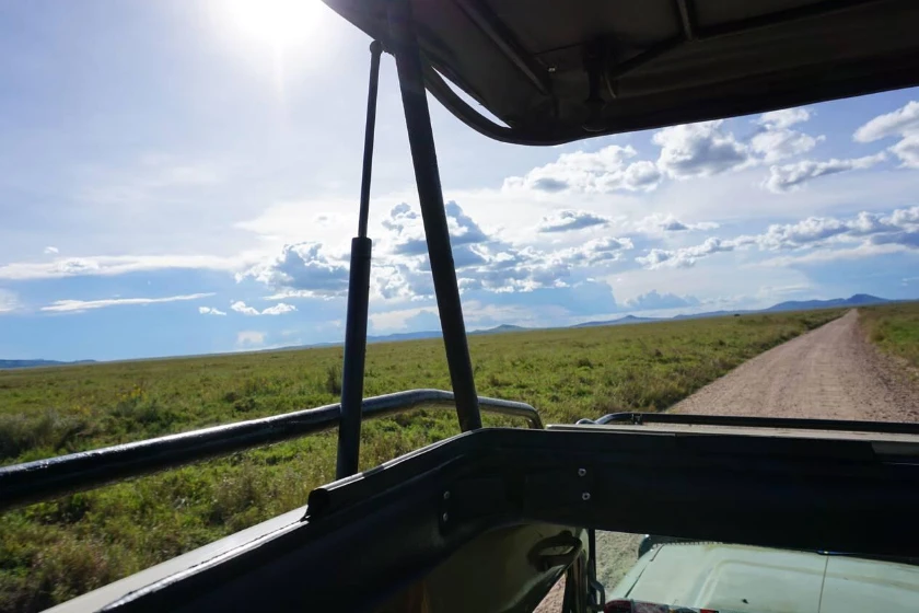 Serengeti Game Drives