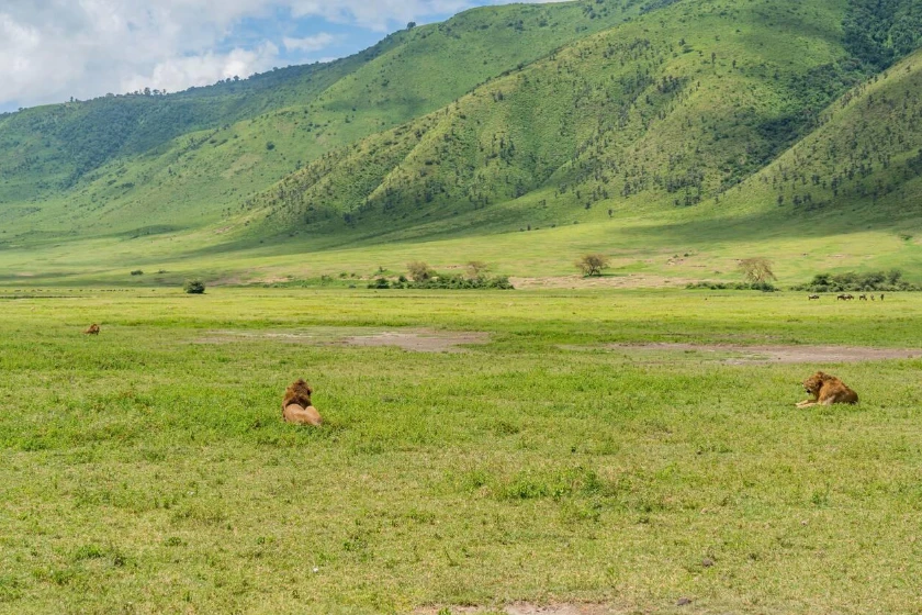 Ngorongoro Attractions