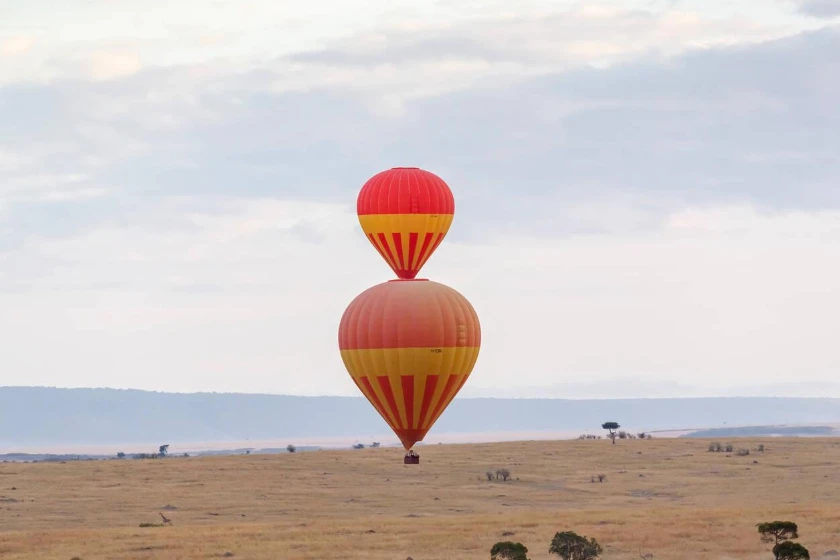 Air Balloon Safari