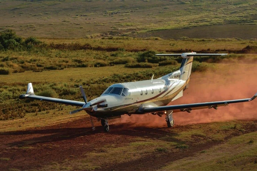 Fly in Safari