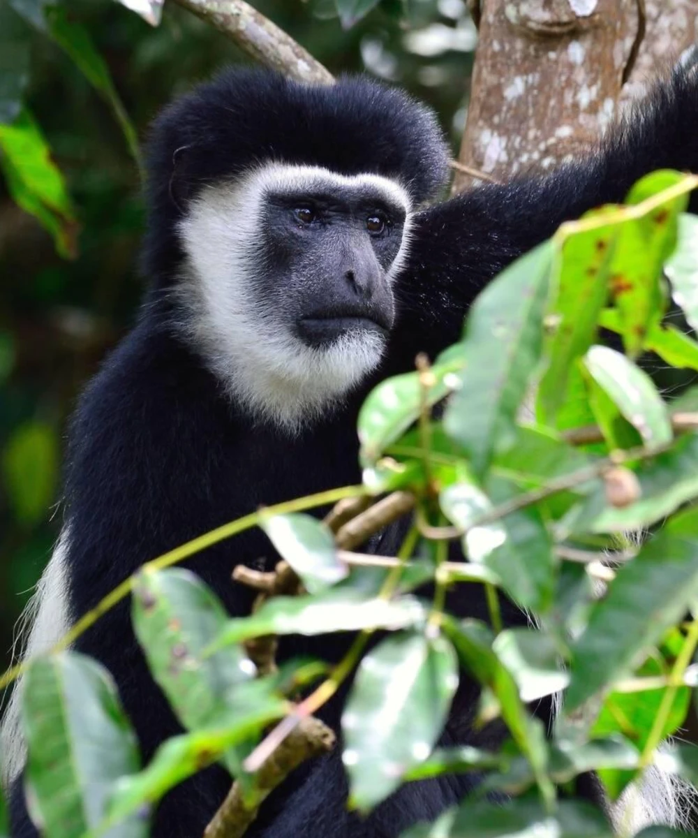 Arusha Attractions