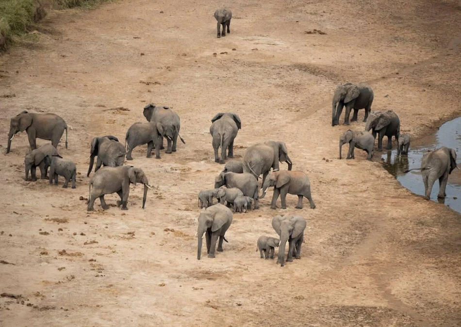 Tarangeri Wildlife