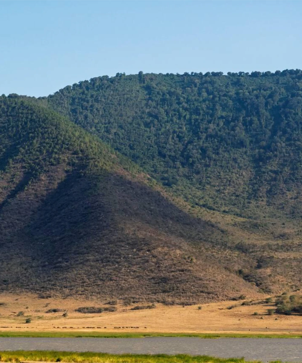 Ngorongoro Crater