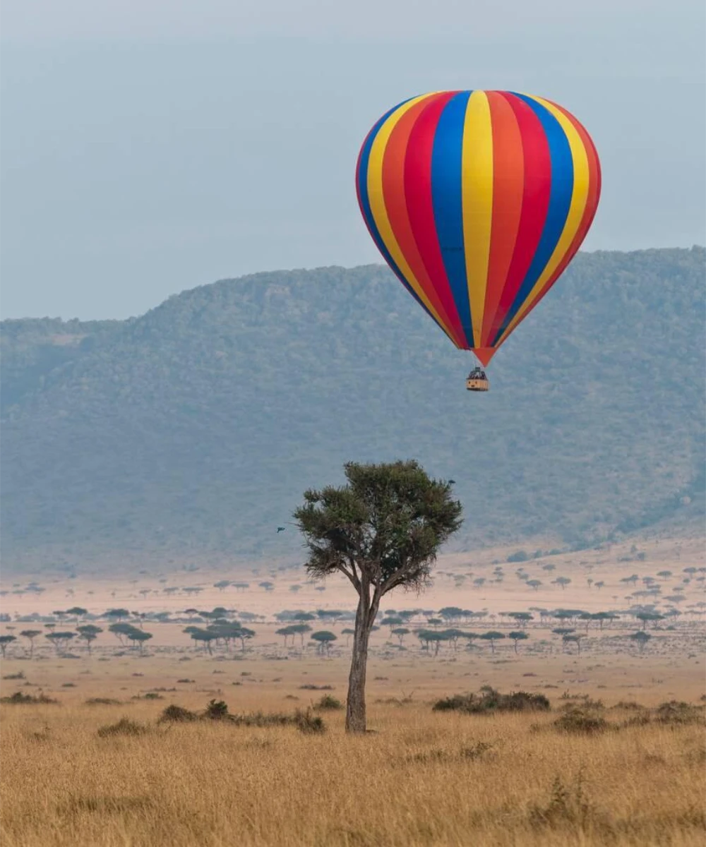 Hot Air Balloon Safari