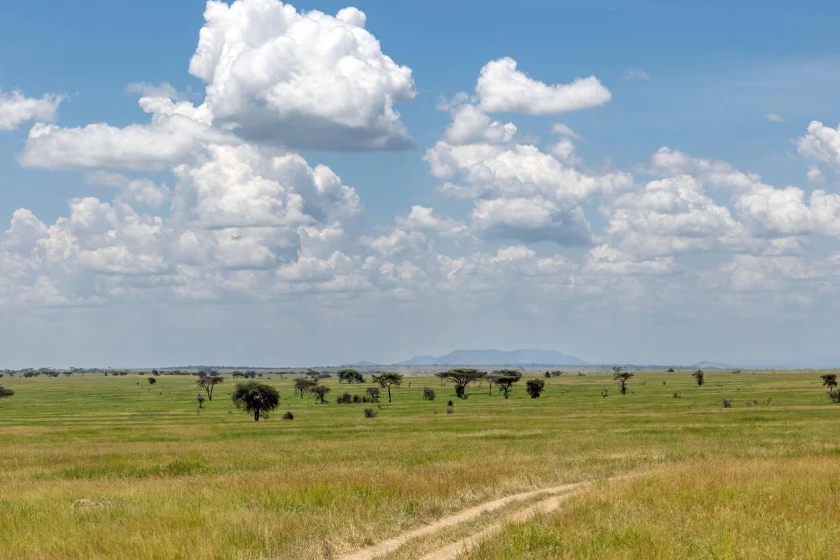 Serengeti Attractions