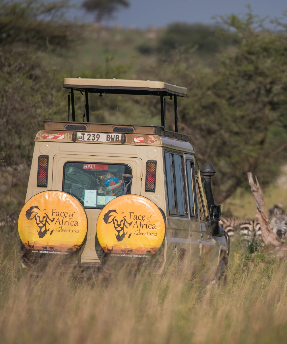 Arusha National Park Day Trip