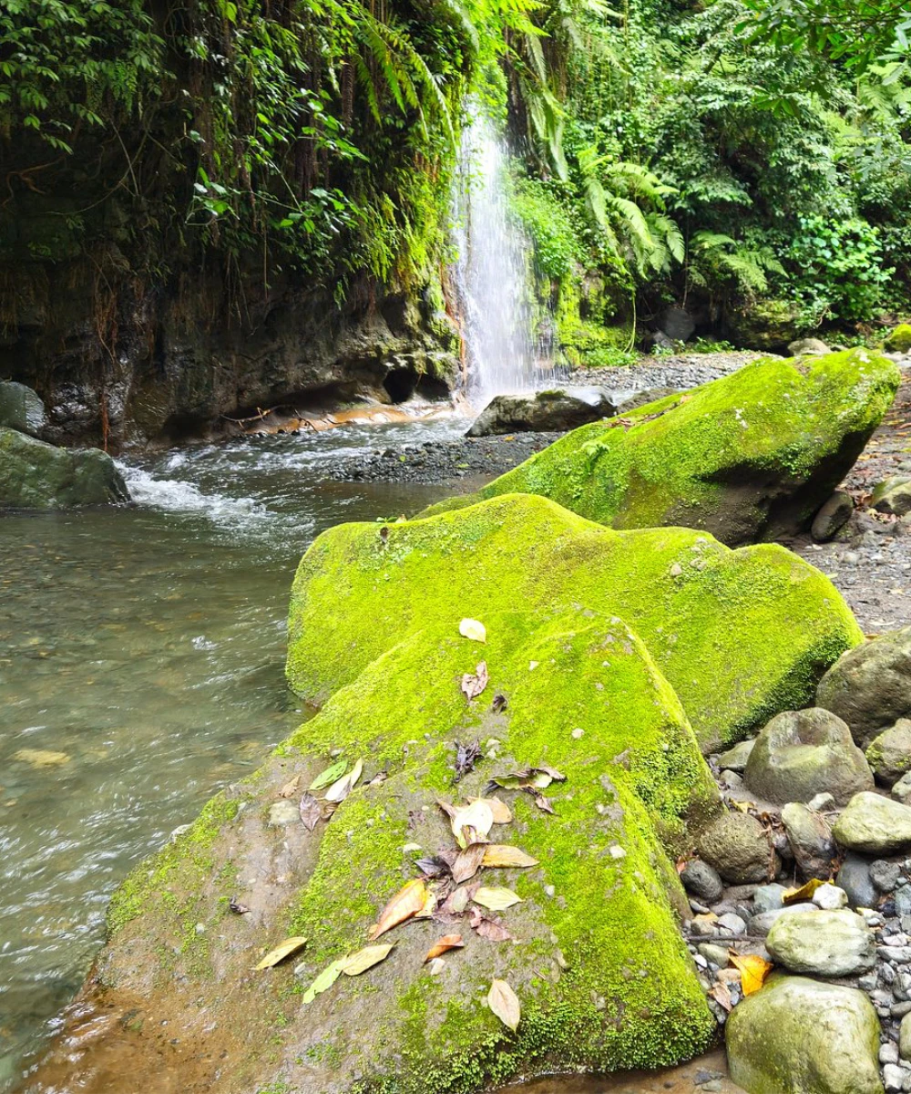 Arusha Waterfalls Adventure
