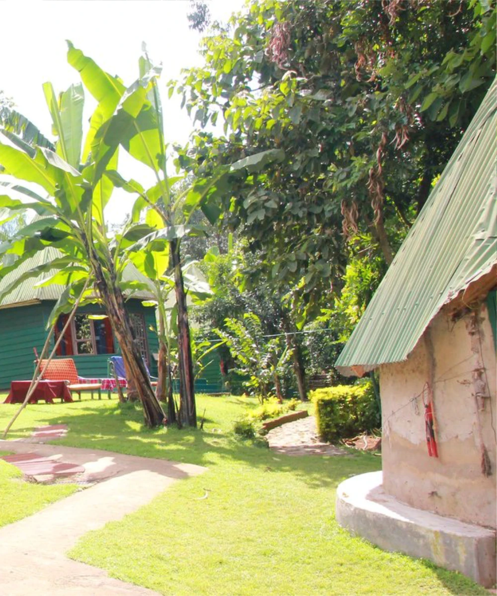 Arusha Waterfalls Adventure