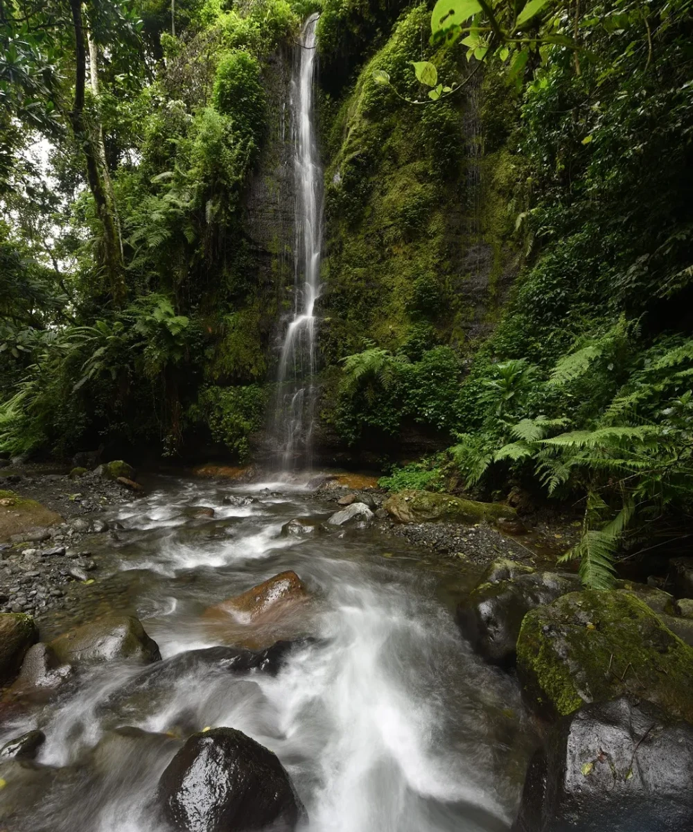 Arusha Waterfalls Adventure
