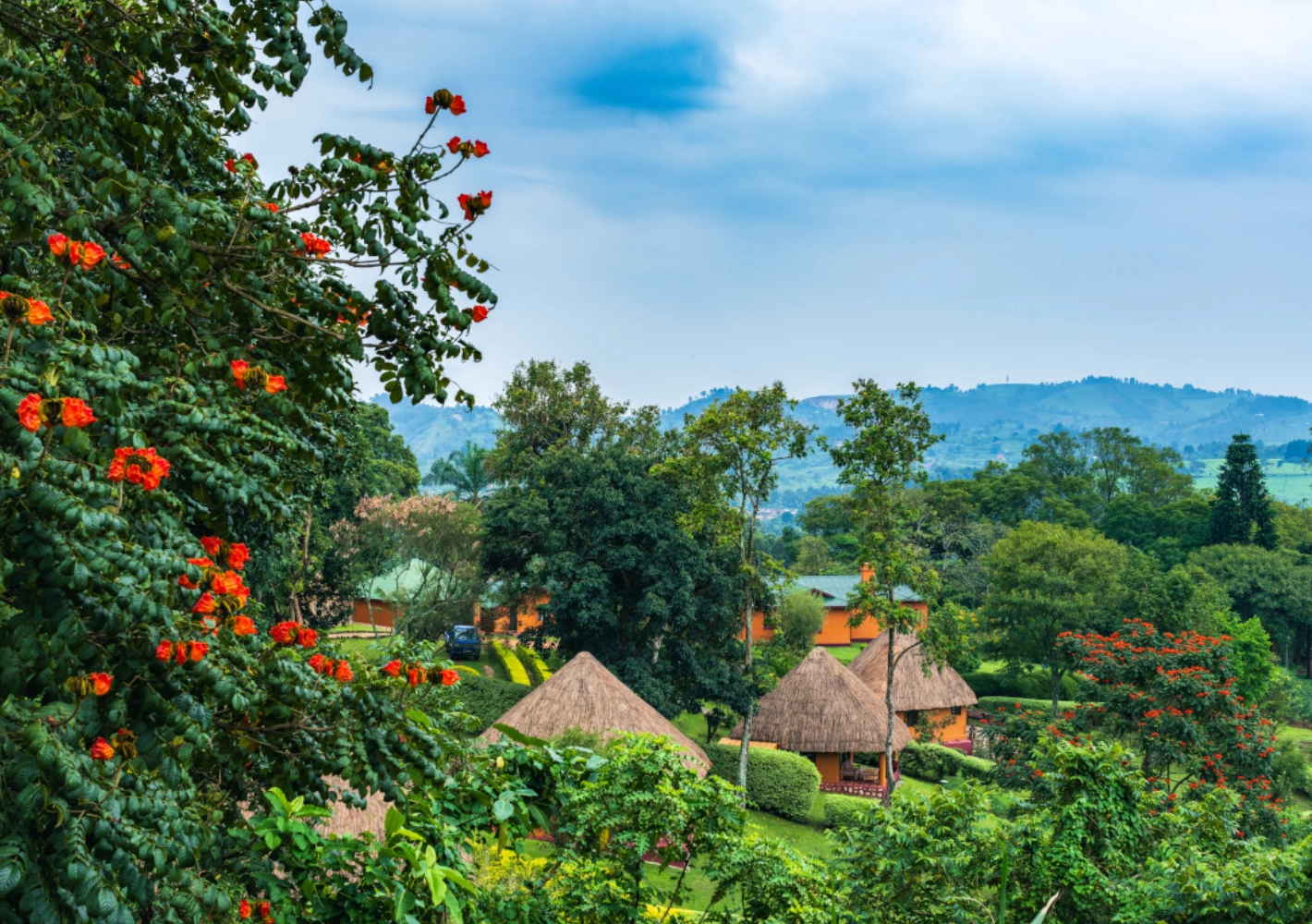 Chimpanzee Forest Lodge Accommodation