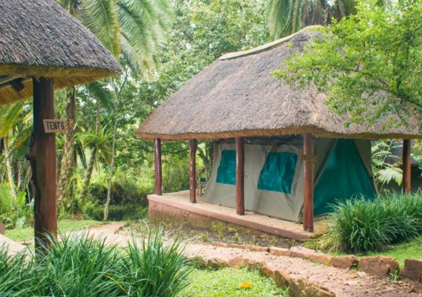 Kibale Forest Camp Accommodation