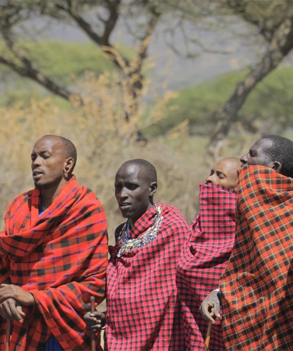 Tarangire National Park Day Trip