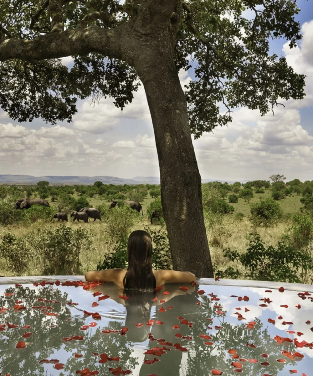Tanzania Honeymoon Safari