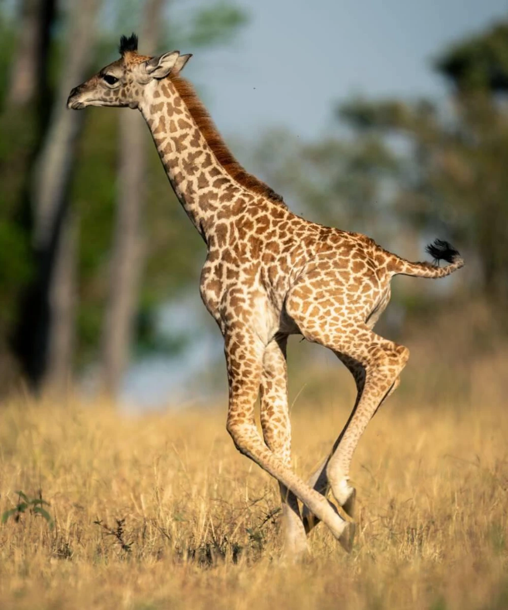 Manyara Attractions