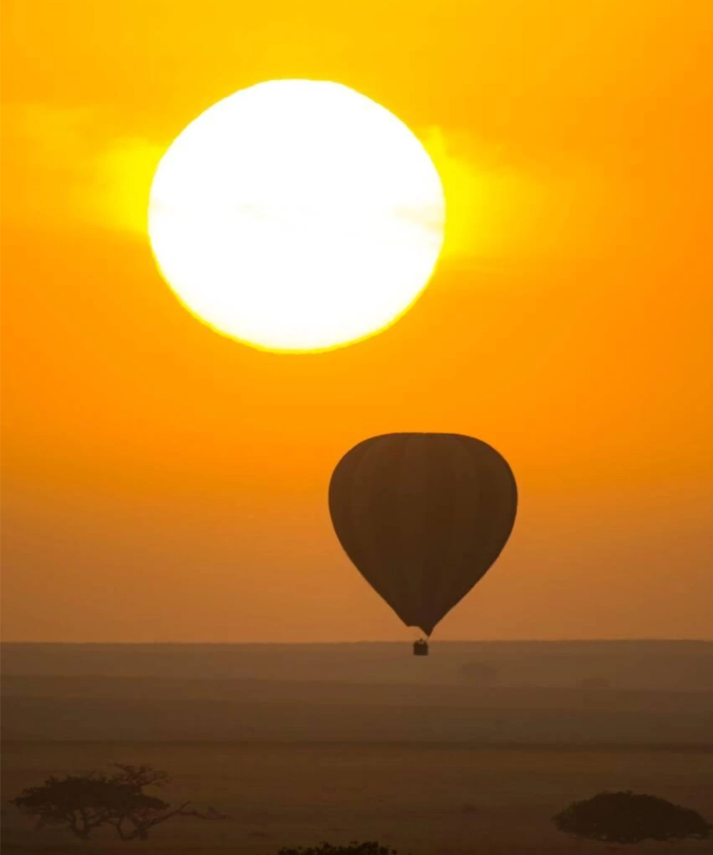 Sunrise Balloon Safari