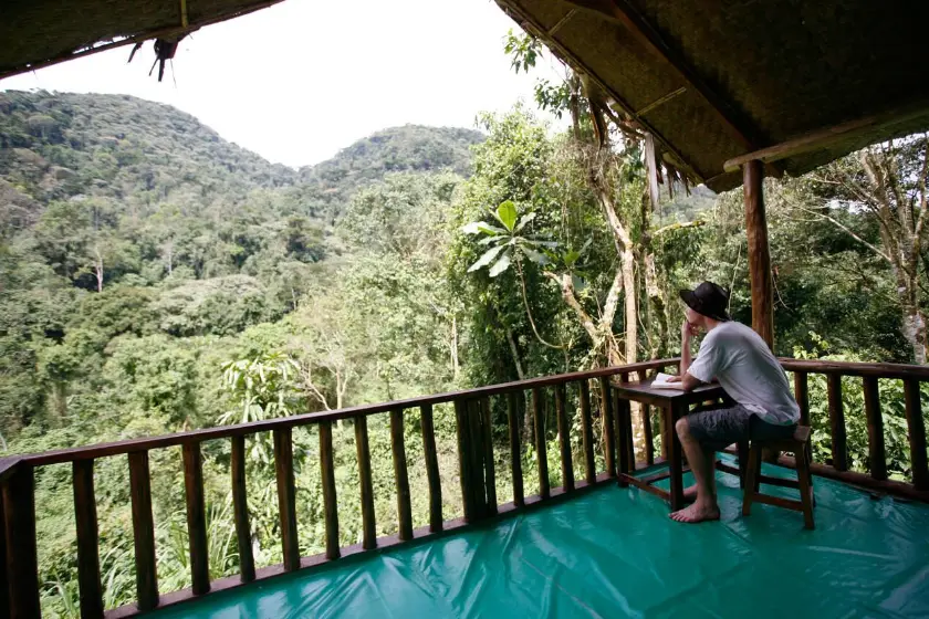 Uganda Rainforest