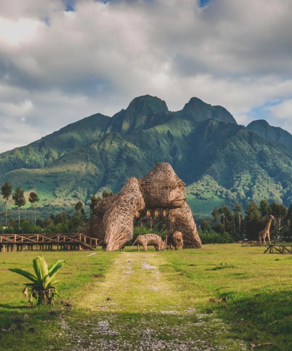 Volcano National Park