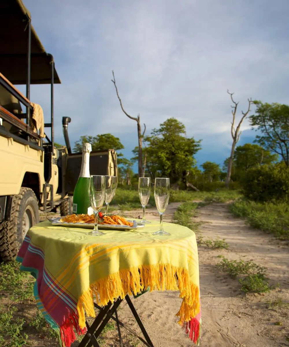 7-days-pure-wilderness-luxury-safari-in-botswana-2