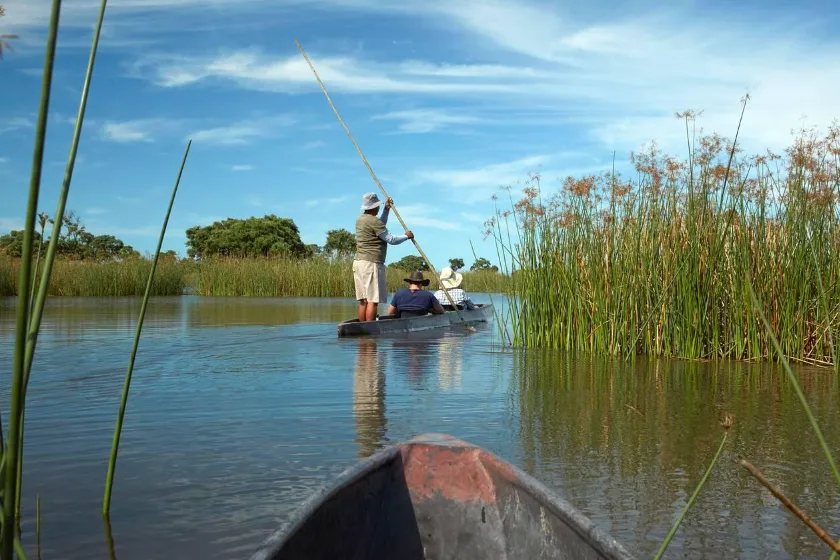 mokoro canoe safaris