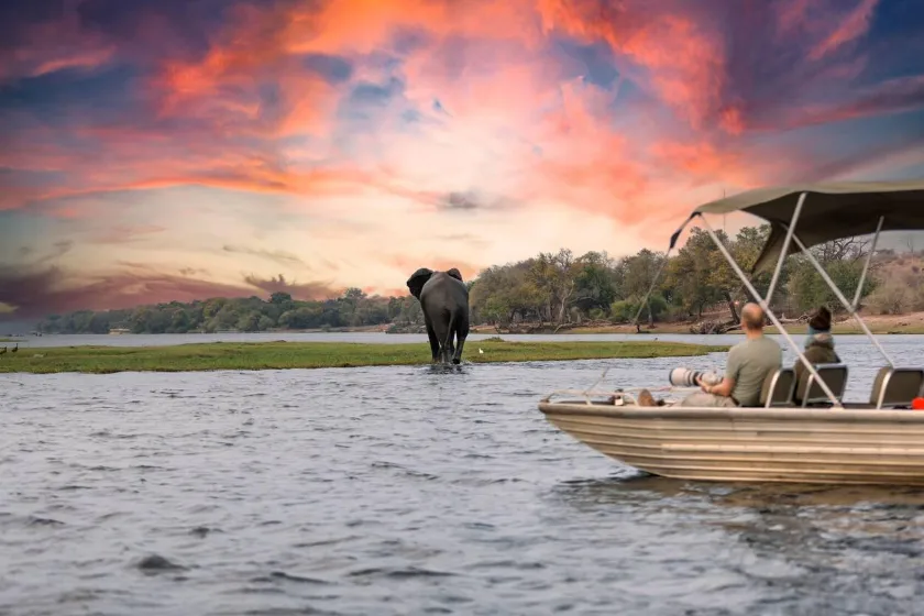 Chobe River Attractions