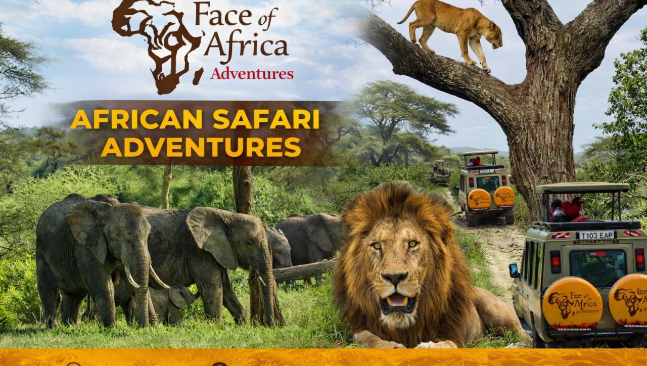 How Much Does a Tanzania Safari Cost in 2027? Complete Price Guide