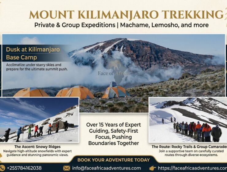 kilimanjaro